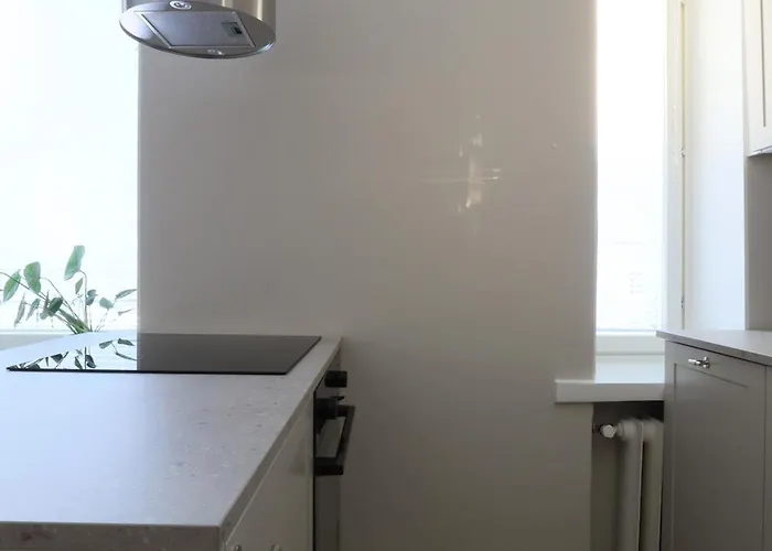 Remontoitu Yksioe Laehellae Helsingin Keskustaa Helsingfors