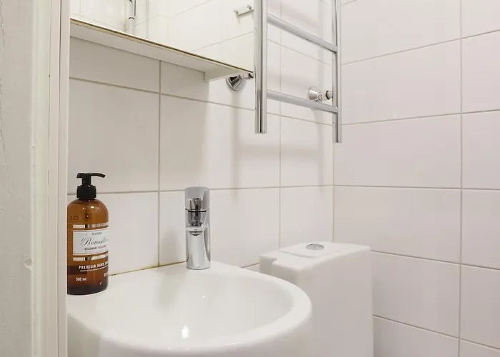 Remontoitu Yksioe Laehellae Helsingin Keskustaa Helsingfors