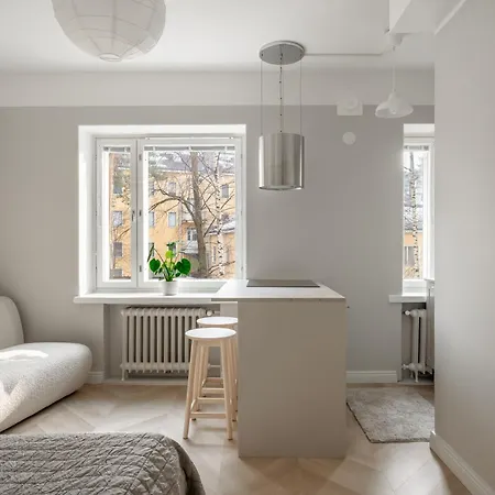 Apartment Remontoitu Yksioe Laehellae Helsingin Keskustaa Helsinki